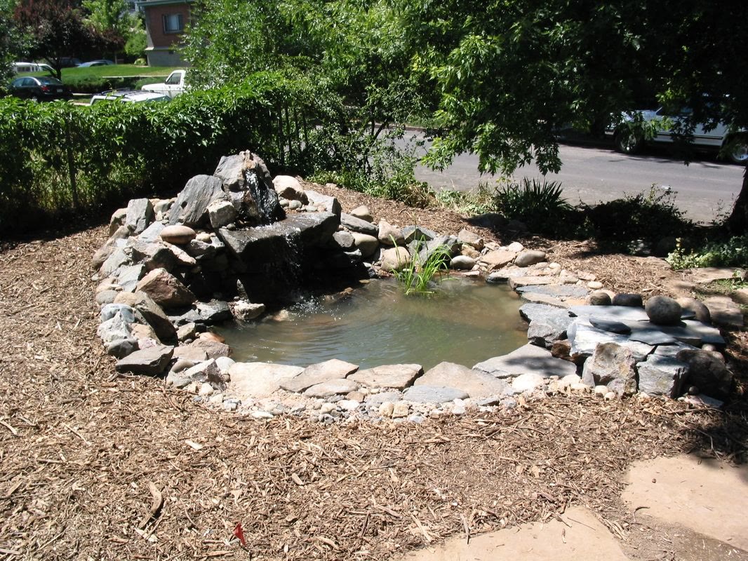Garden pond edged in rock with a small waterfall